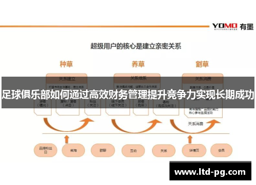 足球俱乐部如何通过高效财务管理提升竞争力实现长期成功