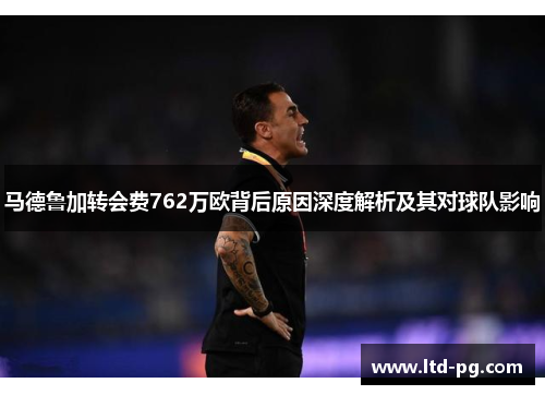 马德鲁加转会费762万欧背后原因深度解析及其对球队影响